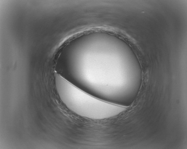 X0000082171496200701191254