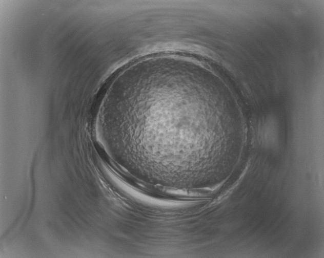 X0000082171497200701191254