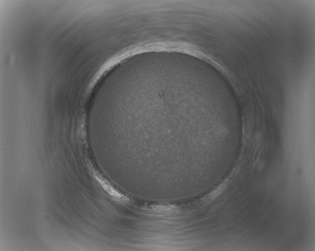 X0000082171498200701191254