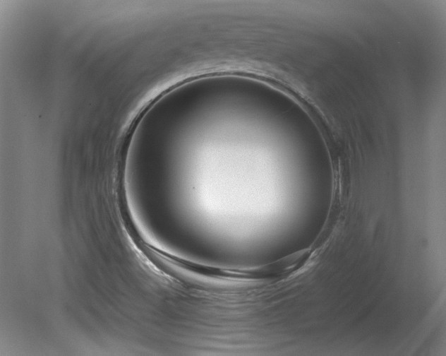 X0000082171500200701191254