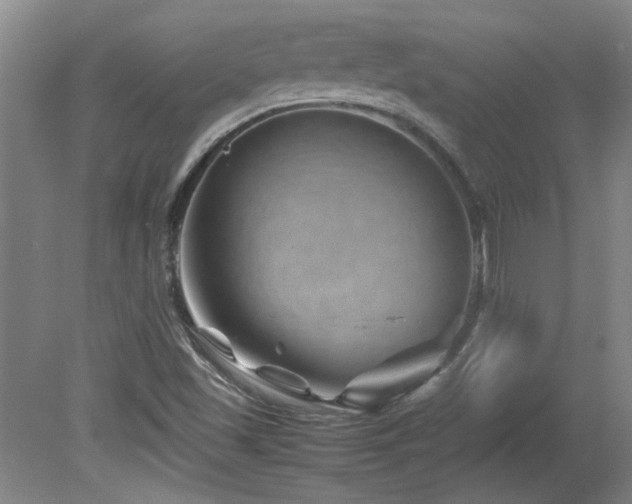 X0000082171501200701191254