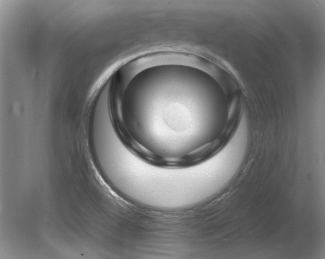 X0000082171504200701191254