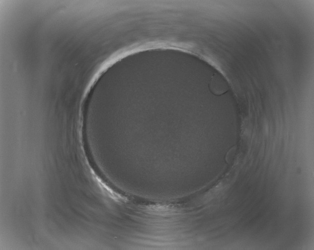 X0000082171508200701191254