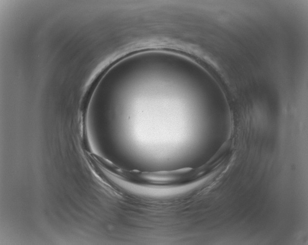X0000082171509200701191254