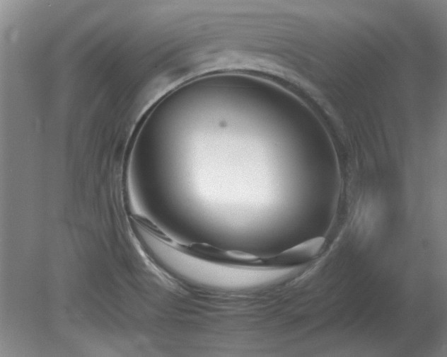 X0000082171513200701191254