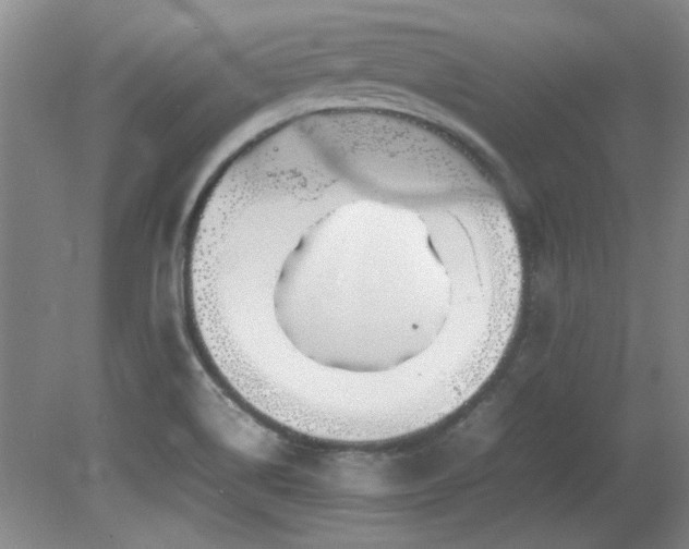 X0000082171514200701191254