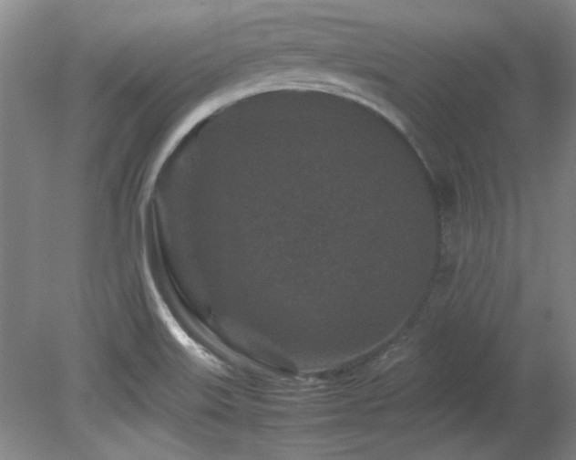 X0000082171515200701191254