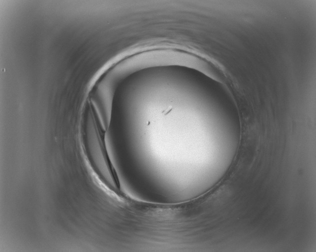 X0000082171518200701191254