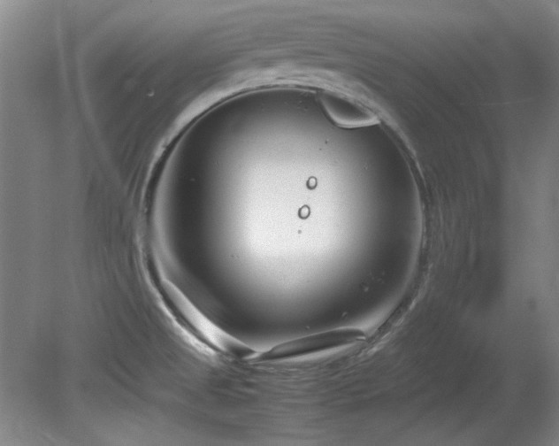 X0000082171525200701191254