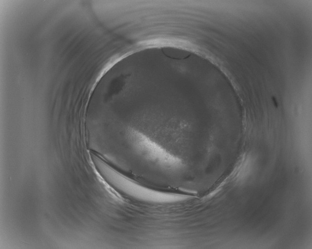 X0000082171529200701191254