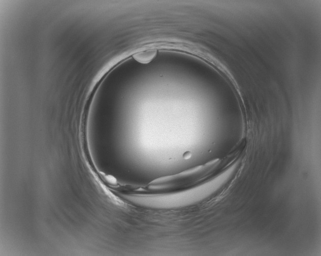 X0000082171533200701191254