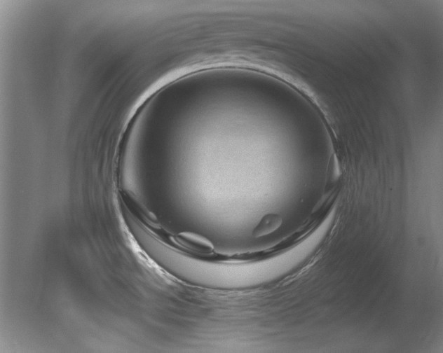 X0000082171534200701191254