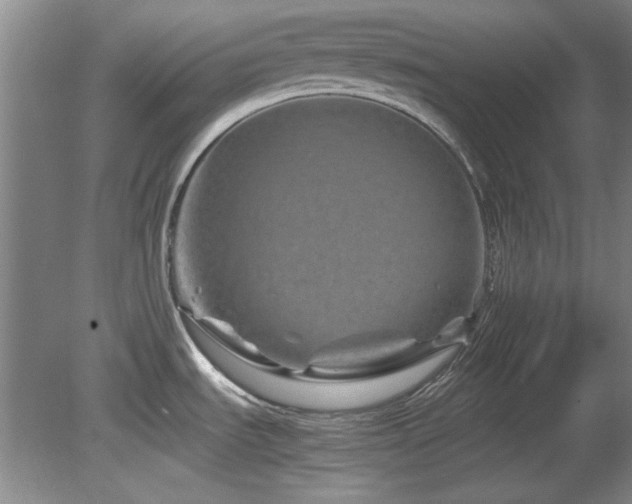 X0000082171535200701191254