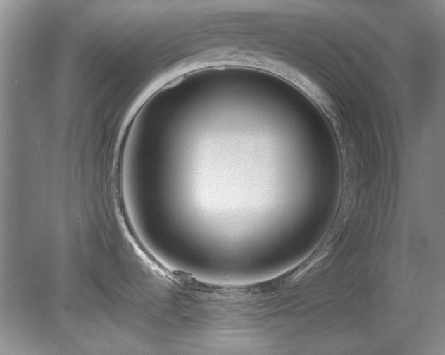 X0000082171536200701191254
