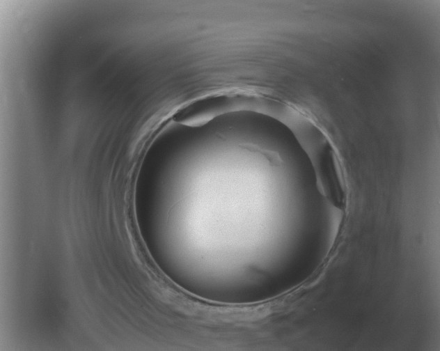 X0000082170001200701270012