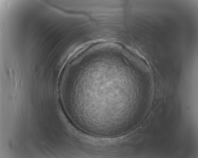 X0000082170002200701270012