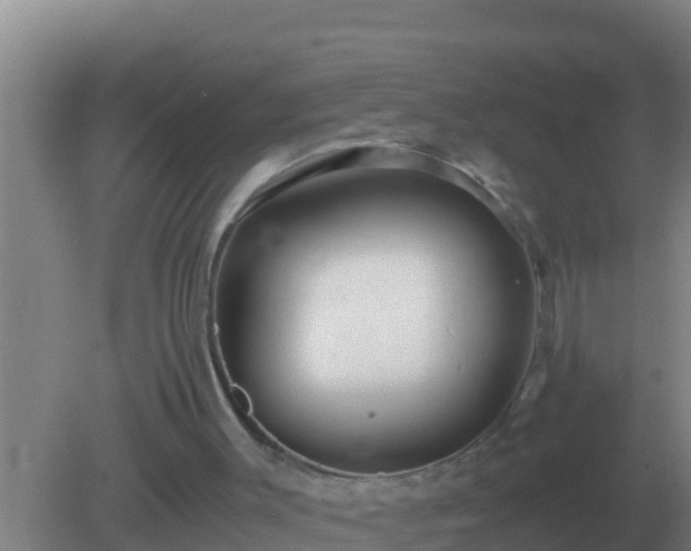 X0000082170003200701270012