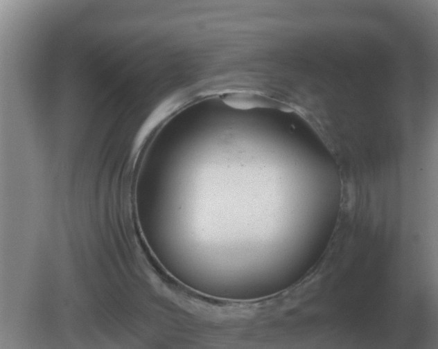 X0000082170004200701270012