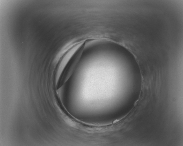 X0000082170005200701270012