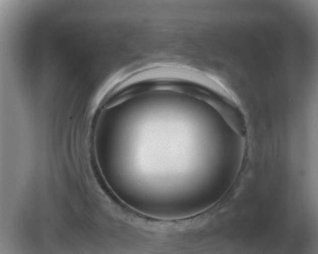 X0000082170007200701270012