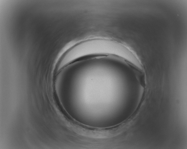 X0000082170008200701270012