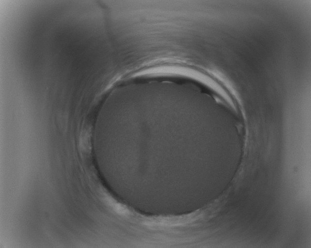 X0000082170009200701270012