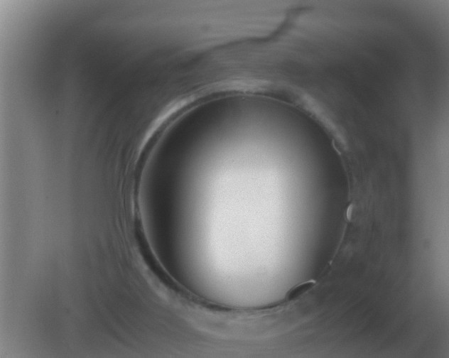 X0000082170011200701270012