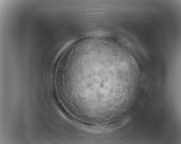 X0000082170012200701270012