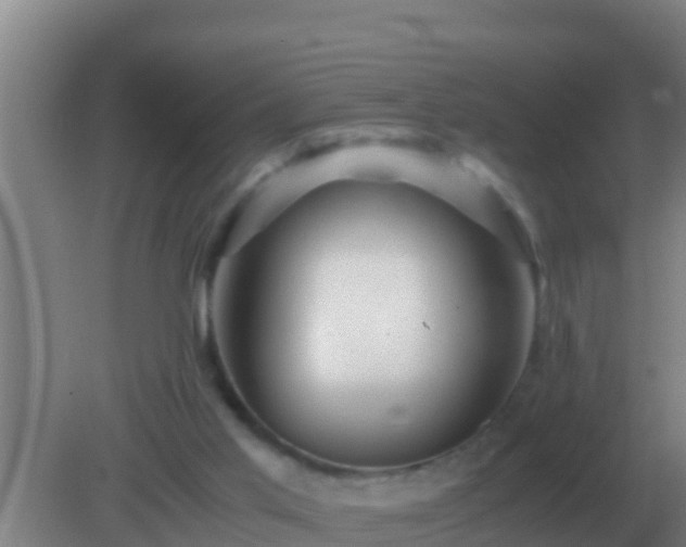 X0000082170013200701270012