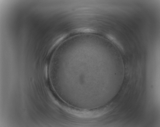 X0000082170014200701270012