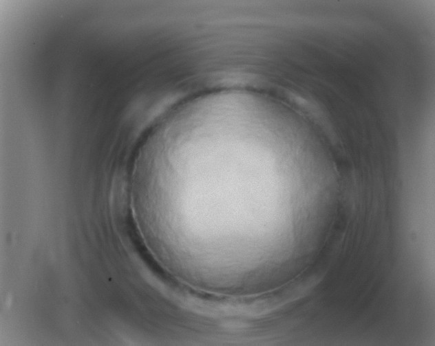 X0000082170016200701270012