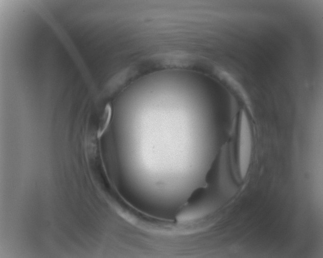 X0000082170017200701270012