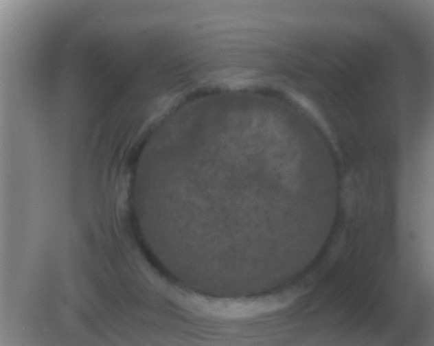 X0000082170018200701270012