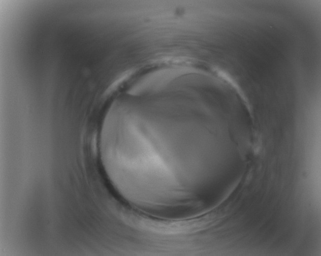 X0000082170019200701270012