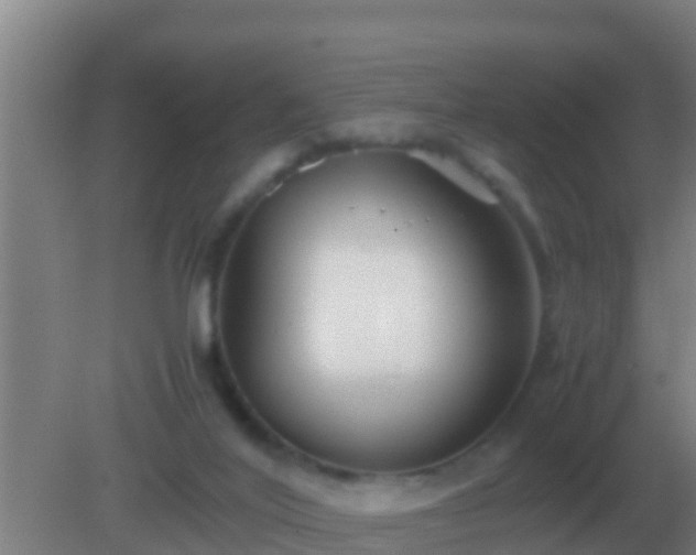 X0000082170020200701270012