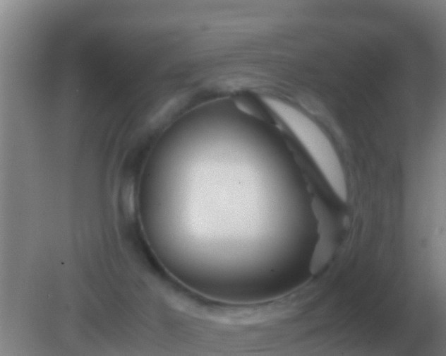 X0000082170021200701270012