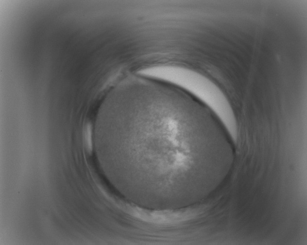 X0000082170022200701270012