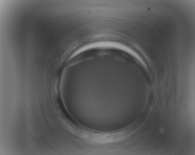 X0000082170023200701270012