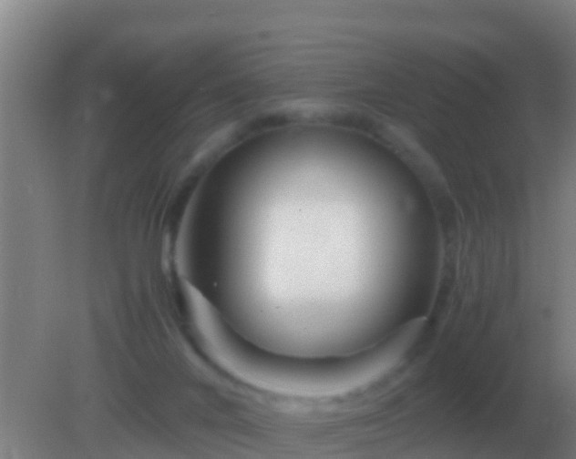 X0000082170024200701270012