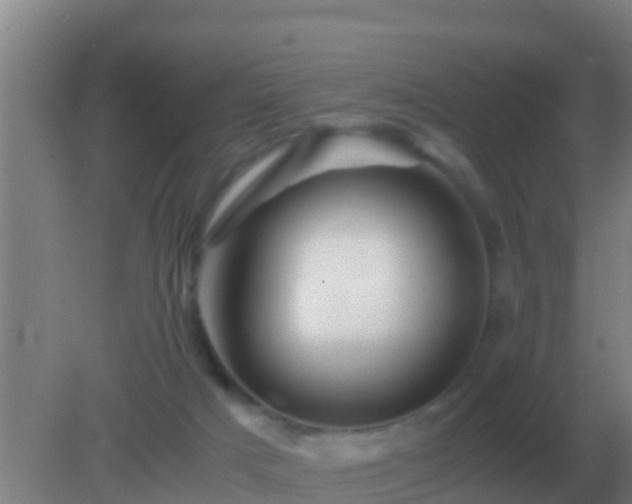 X0000082170025200701270012