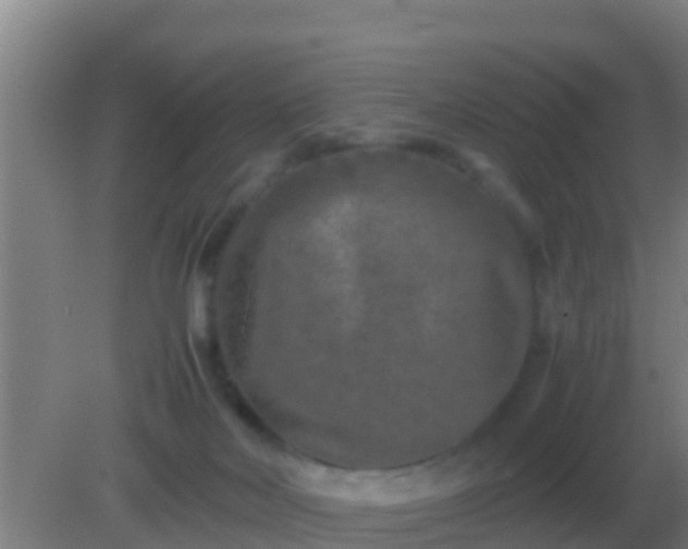 X0000082170026200701270011