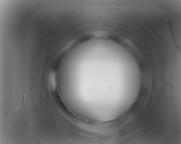 X0000082170028200701270011