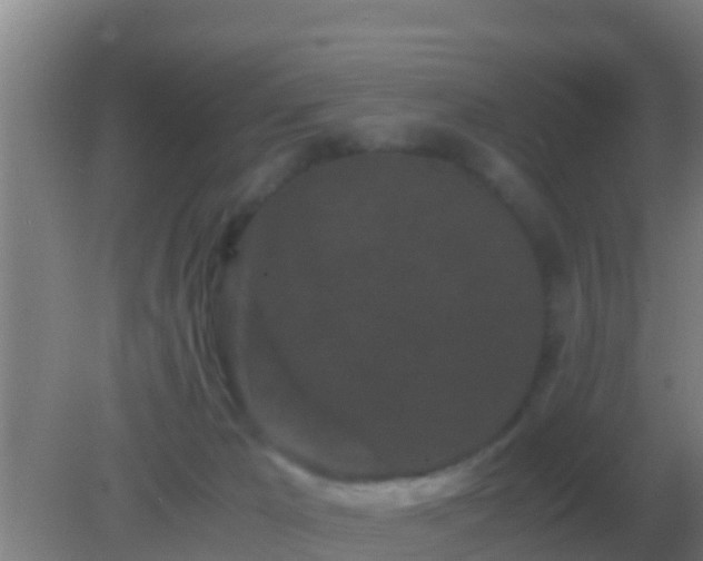 X0000082170029200701270011