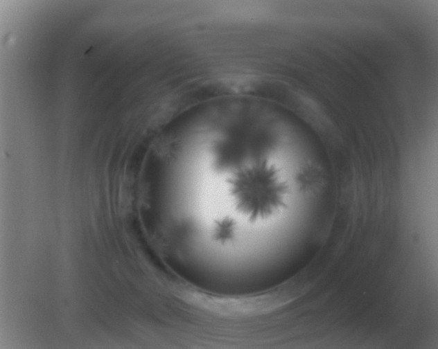 X0000082170030200701270011