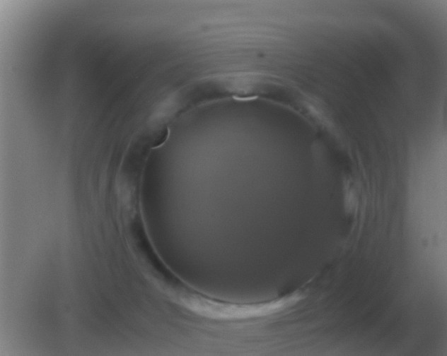 X0000082170031200701270011