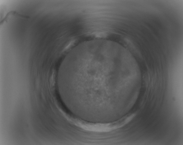 X0000082170032200701270011