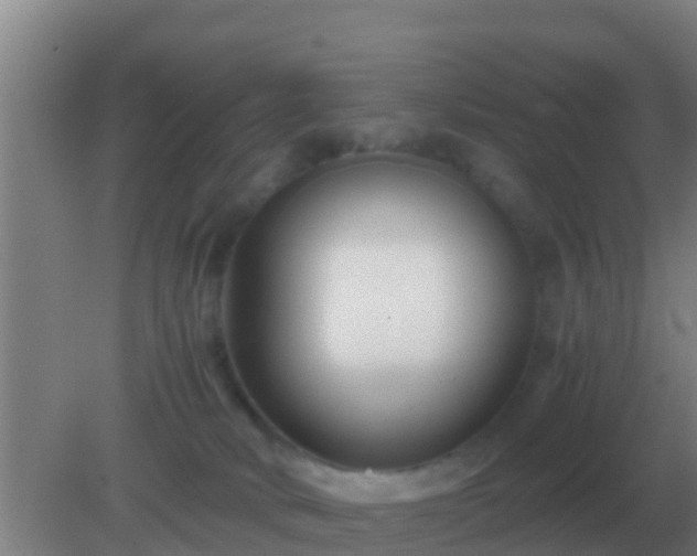 X0000082170034200701270011