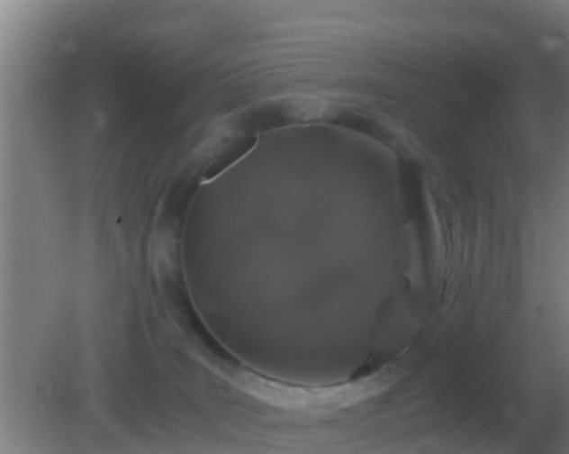 X0000082170035200701270011