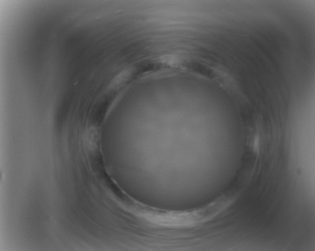 X0000082170036200701270011