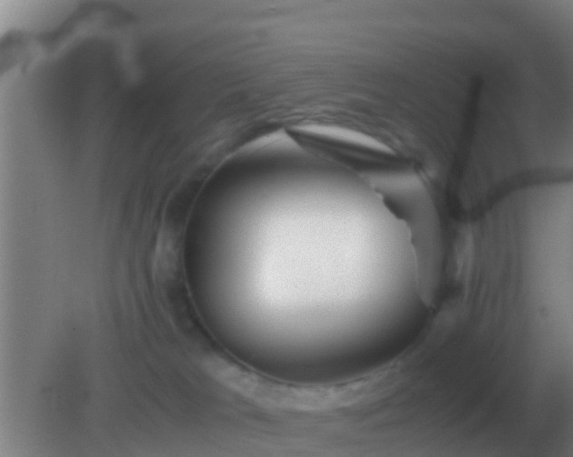 X0000082170037200701270011